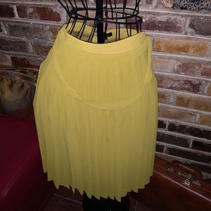 Anne Taylor skirt